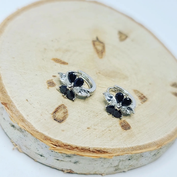 Zirconia Stainless steel clasp Earrings - Picture 2 of 4